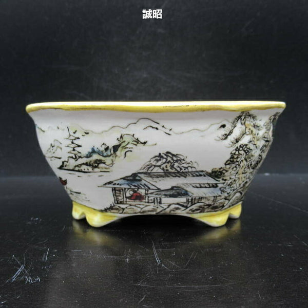 誠昭 色絵 山水人物図 木瓜 盆栽鉢 新品 r1198403830