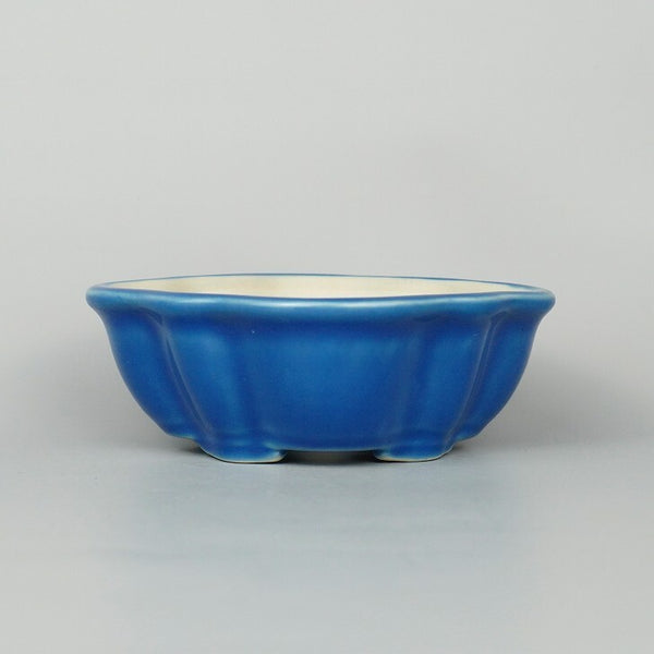 近盆撰 外縁 木瓜鉢 釉薬 均釉 盆栽鉢 新品 u1198425086