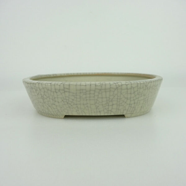 盆栽鉢 青香 小型 長辺 約14.5cm 楕円鉢 貫入 釉薬 s1198415919