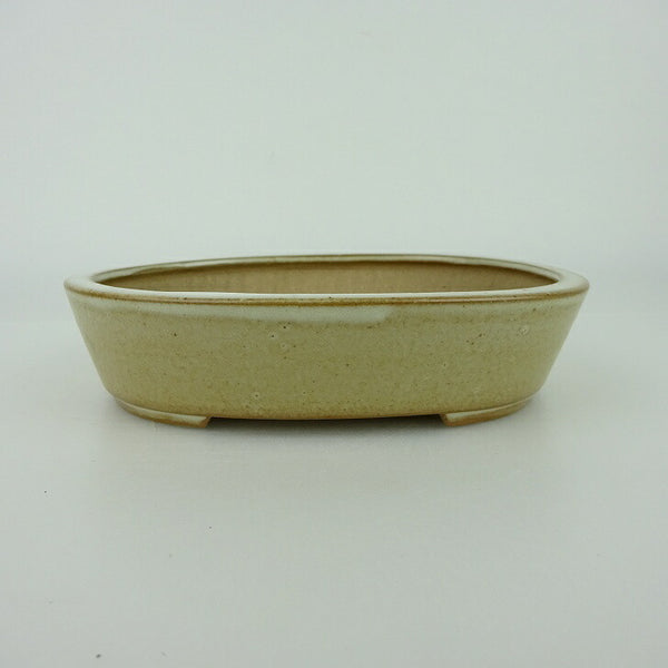 盆栽鉢 青香 小型 長辺 約14.5cm 楕円鉢 釉薬 t1198403343