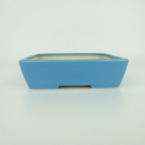 盆栽鉢 青香 小型 長辺 約14.9cm 長方鉢 釉薬 e1198412428