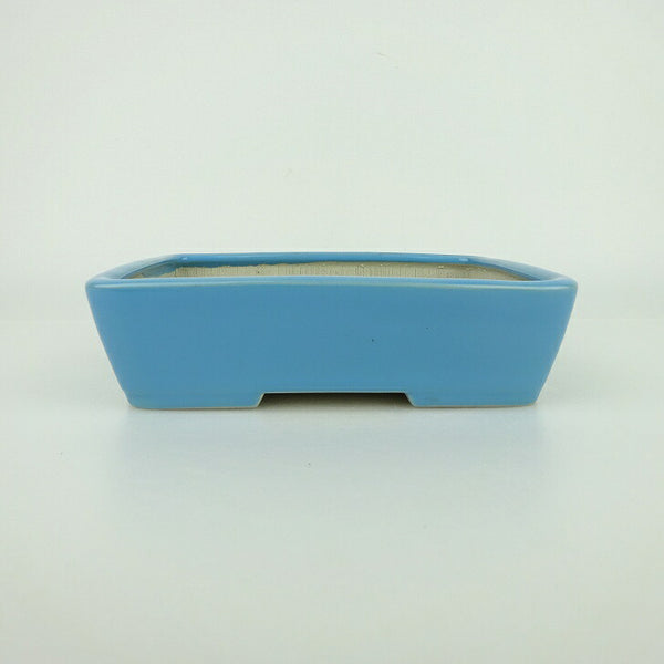 盆栽鉢 青香 小型 長辺 約14.5cm 長方鉢 釉薬 q1198418651