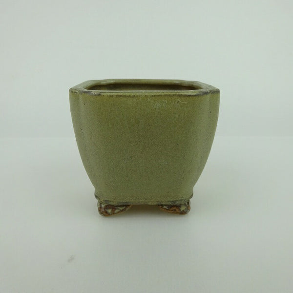 盆栽鉢 青香 小鉢 長辺 約6.8cm 正方鉢 隅入 雲足 下帯 釉薬 p1198422302
