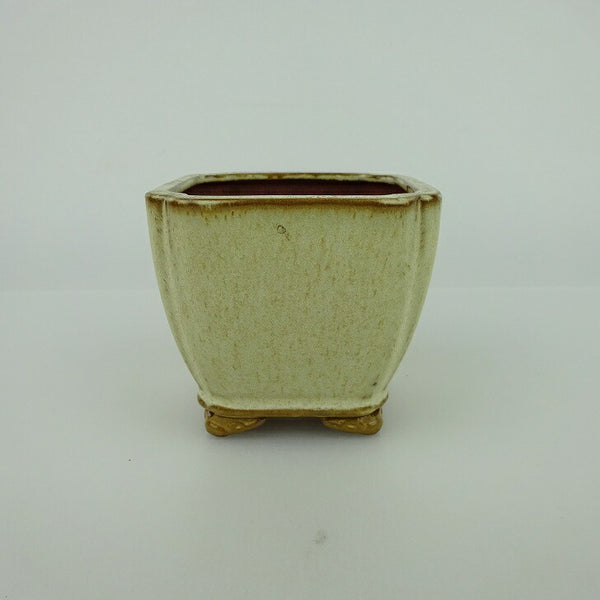 盆栽鉢 青香 小鉢 長辺 約6.5cm 正方鉢 隅入 雲足 下帯 釉薬 q1198412929