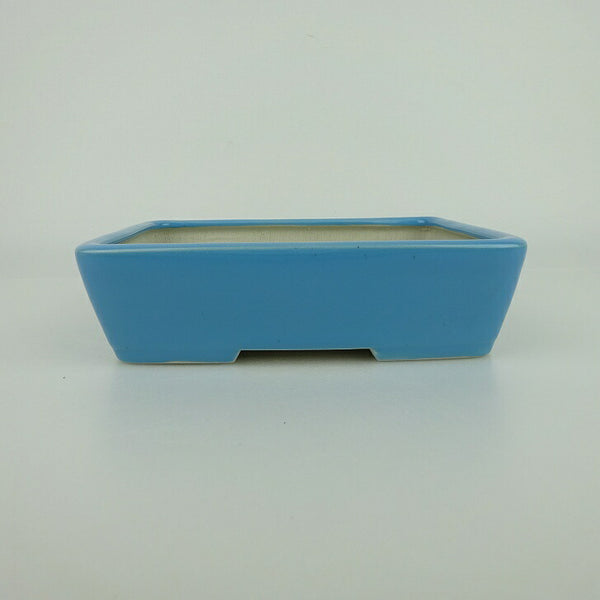 盆栽鉢 青香 小型 長辺 約14.5cm 長方鉢 釉薬 m1198409617