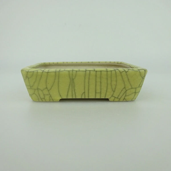 盆栽鉢 青香 小鉢 長辺 約9.5cm 長方鉢 貫入 釉薬 x1198411983