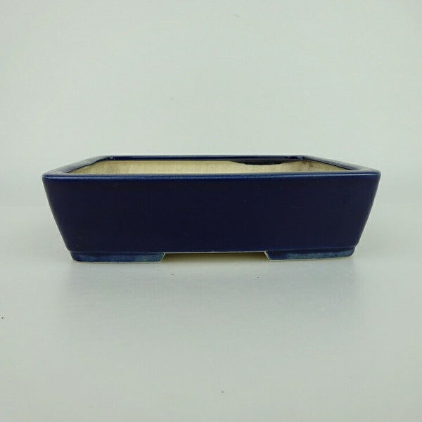 盆栽鉢 青香 小型 長辺 約14.8cm 長方鉢 釉薬 c1198411218