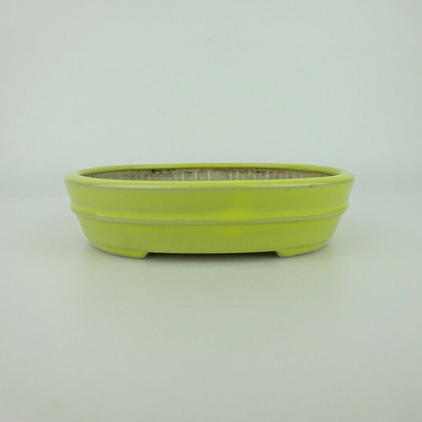 盆栽鉢 青香 小型 長辺 約14.5cm 楕円鉢 中帯 釉薬 d1198427557