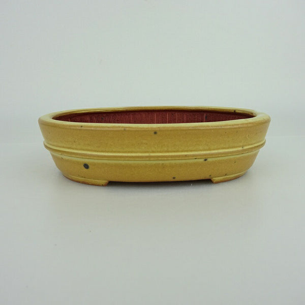 盆栽鉢 青香 小型 長辺 約14.3cm 楕円鉢 中帯 釉薬 r1198404339