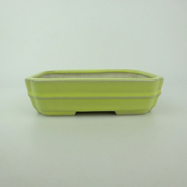 盆栽鉢 青香 小型 長辺 約14.5cm 長方鉢 隅入 中帯 釉薬 u1198427623