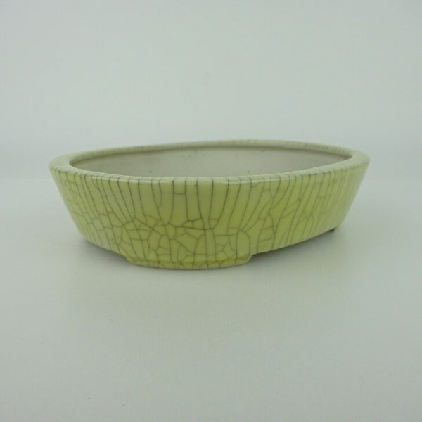盆栽鉢 青香 小型 長辺 約14.5cm 楕円鉢 貫入 釉薬 w1198414458