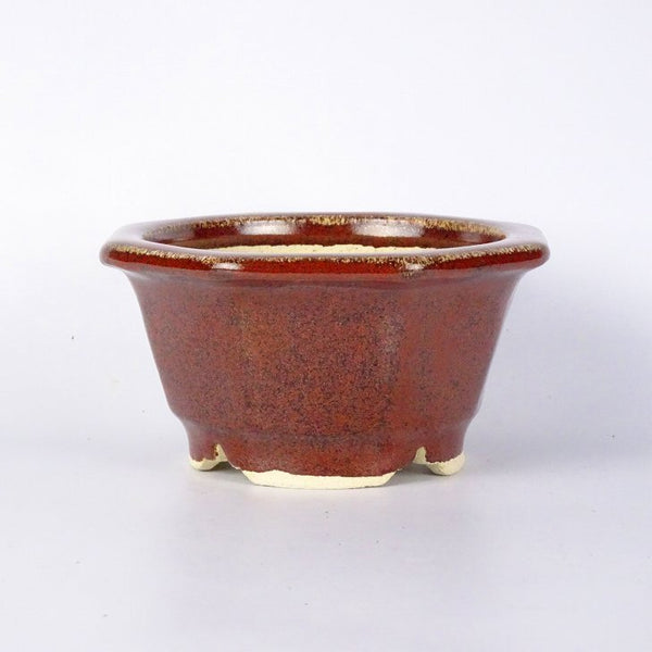 人廣 作陶門人廣 外縁 八角鉢 釉薬 盆栽鉢  新品 b1198417940