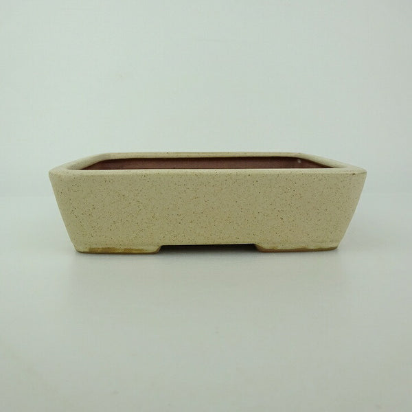 盆栽鉢 青香 小型 長辺 約14.5cm 長方鉢 釉薬 k1198410676