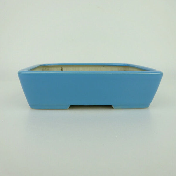 盆栽鉢 青香 小型 長辺 約14.5cm 長方鉢 釉薬 s1198419152