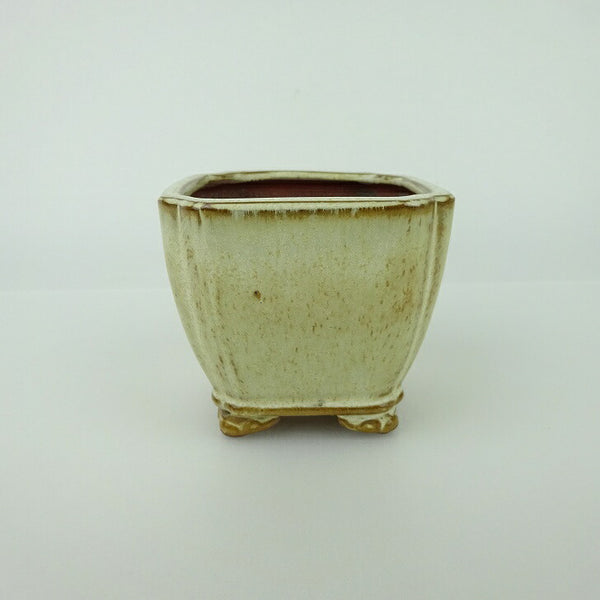 盆栽鉢 青香 小鉢 長辺 約6.5cm 正方鉢 隅入 雲足 下帯 釉薬 j1198418758