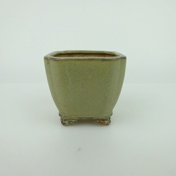 盆栽鉢 青香 小鉢 長辺 約6.58m 正方鉢 隅入 雲足 下帯 釉薬 h1198422838