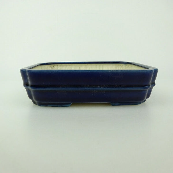 盆栽鉢 青香 小型 長辺 約14.8cm 長方鉢 隅入 中帯 釉薬 w1198406740