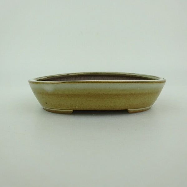 盆栽鉢 青香 小型 長辺 約9.7cm 楕円鉢 釉薬 w1198414162