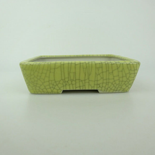 盆栽鉢 青香 小型 長辺 約14.5cm 長方鉢 貫入 釉薬 b1198417335