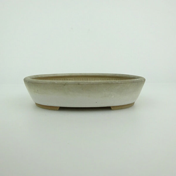 盆栽鉢 青香 小鉢 長辺 約9.8cm 楕円鉢 釉薬 u1198431651