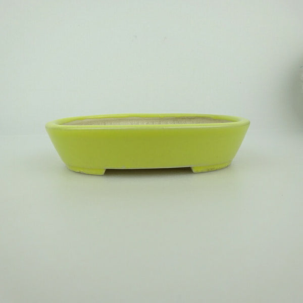 盆栽鉢 青香 小鉢 長辺 約10cm 楕円鉢 釉薬 v1198435745