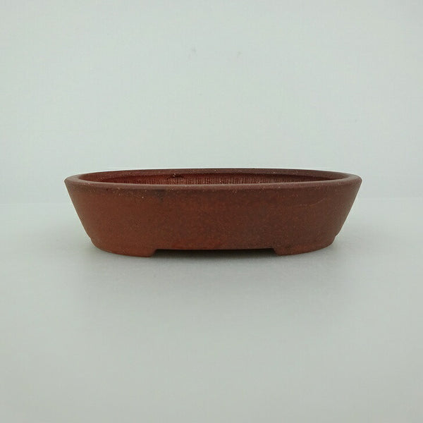 盆栽鉢 青香 小鉢 長辺 約9.8cm 楕円鉢 泥物 m1198412106