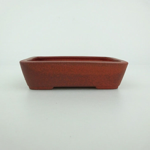 盆栽鉢 青香 小鉢 長辺 約9cm 長方鉢 泥物 b1198423410