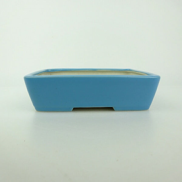 盆栽鉢 青香 小型 長辺 約14.5cm 長方鉢 釉薬 x1198410430