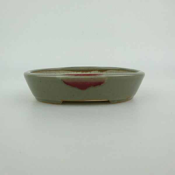 盆栽鉢 青香 小型 長辺 約9.8cm 楕円鉢 釉薬 c1198409863