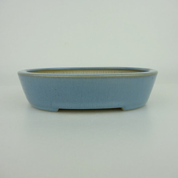 盆栽鉢 青香 小型 長辺 約14.8cm 楕円鉢 釉薬 w1198409085
