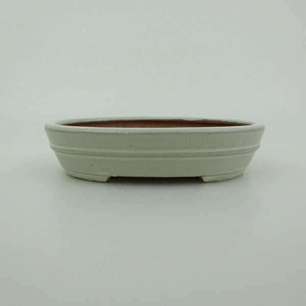 盆栽鉢 青香 小型 長辺 約9.9cm 楕円鉢 中帯 釉薬 x1198411083