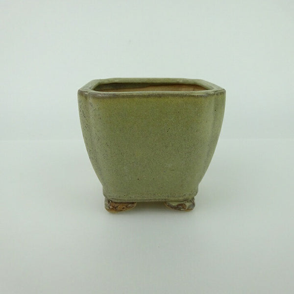 盆栽鉢 青香 小鉢 長辺 約6.8cm 正方鉢 隅入 雲足 下帯 釉薬 k1198412663