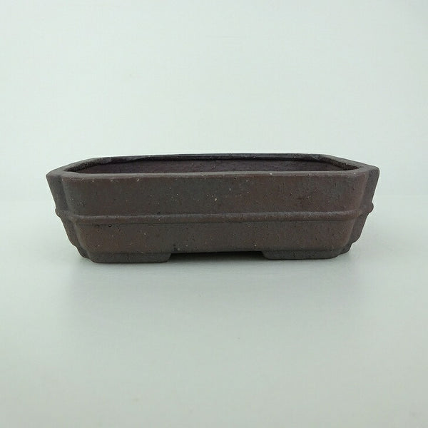 盆栽鉢 青香 小型 長辺 約14.5cm 長方鉢 隅入 中帯 泥物 c1198407478