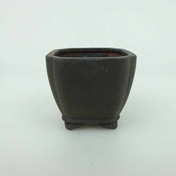 盆栽鉢 青香 小鉢 長辺 約6.5cm 正方鉢 隅入 雲足 下帯 泥物 g1198423003