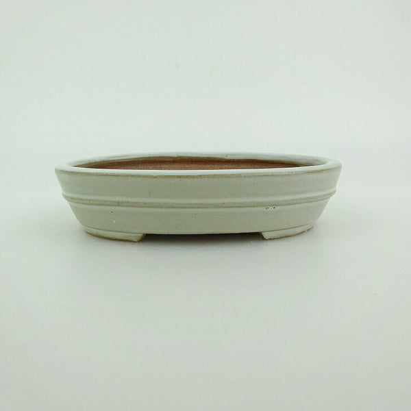 盆栽鉢 青香 小型 長辺 約10cm 楕円鉢 中帯 釉薬 d1198425416