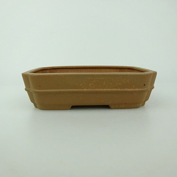 盆栽鉢 青香 小型 長辺 約14.5cm 長方鉢 隅入 中帯 泥物 1198407310