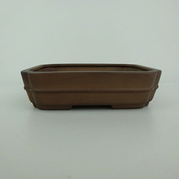盆栽鉢 青香 小型 長辺 約14.5cm 長方鉢 隅入 中帯 泥物 u1198426826