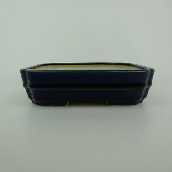 盆栽鉢 青香 小型 長辺 約14.5cm 長方鉢 隅入 中帯 釉薬 1198405276