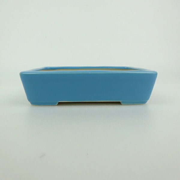 盆栽鉢 青香 小型 長辺 約12cm 長方鉢 釉薬 l1198408037