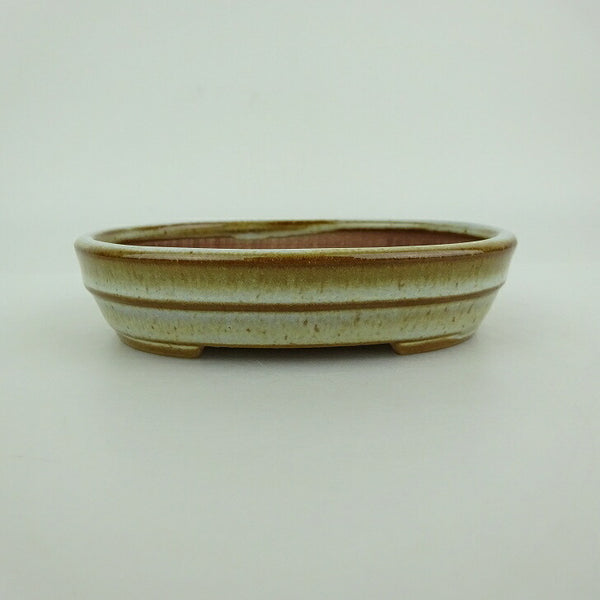 盆栽鉢 青香 小型 長辺 約9.8cm 楕円鉢 中帯 釉薬 x1198409049