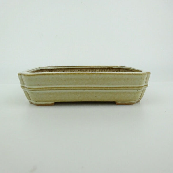 盆栽鉢 青香 小型 長辺 約11.9cm 長方鉢 隅入 中帯 釉薬 q1198415370