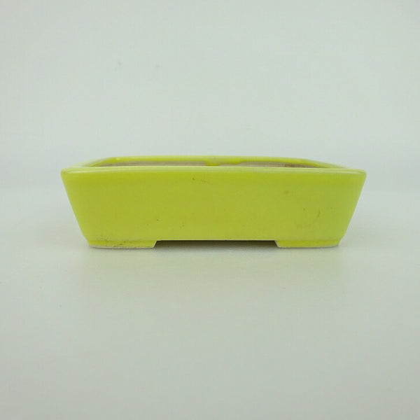 盆栽鉢 青香 小鉢 長辺 約9.5cm 長方鉢 釉薬 w1198405998