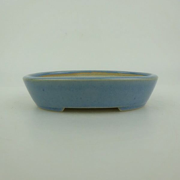 盆栽鉢 青香 小型 長辺 約10cm 楕円鉢 釉薬 e1198409742