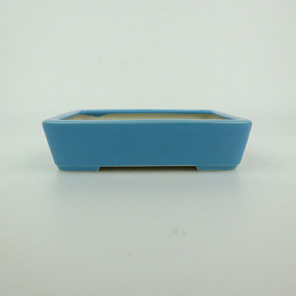 盆栽鉢 青香 小型 長辺 約12cm 長方鉢 釉薬 o1198418599