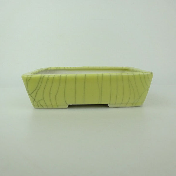盆栽鉢 青香 小型 長辺 約14.8cm 長方鉢 貫入 釉薬 w1198409625