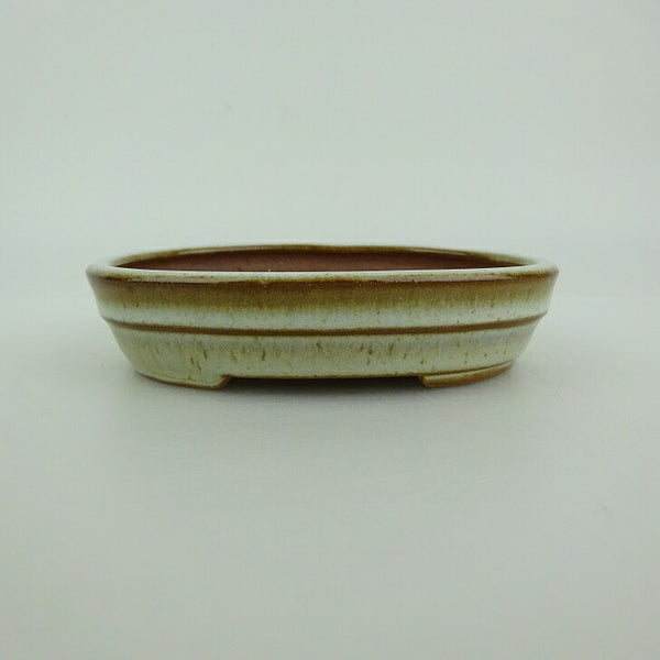 盆栽鉢 青香 小型 長辺 約10cm 楕円鉢 中帯 釉薬 k1198409035
