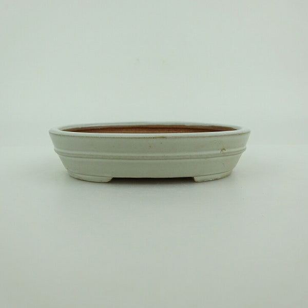 盆栽鉢 青香 小型 長辺 約10cm 楕円鉢 中帯 釉薬 g1198420070