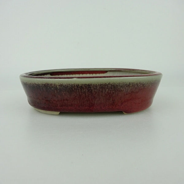 盆栽鉢 青香 小型 長辺 約14.8cm 楕円鉢 釉薬 v1198436678