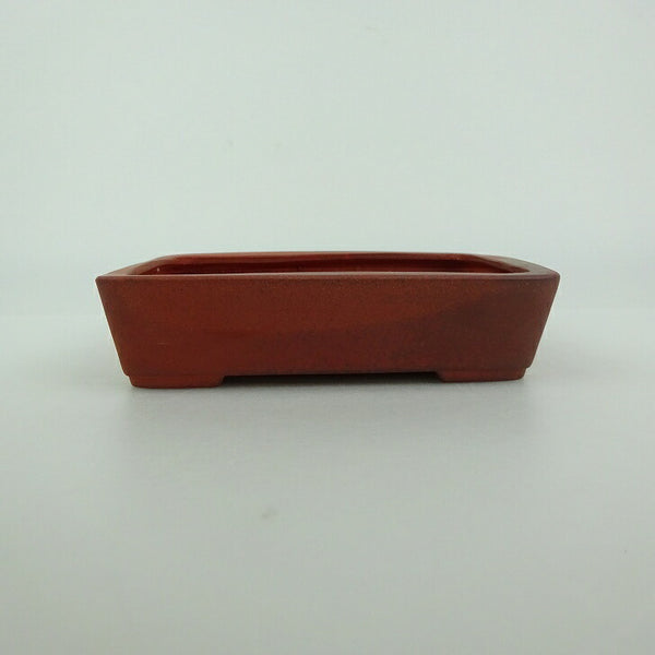 盆栽鉢 青香 小型 長辺 約11.8cm 長方鉢 泥物 e1198407744