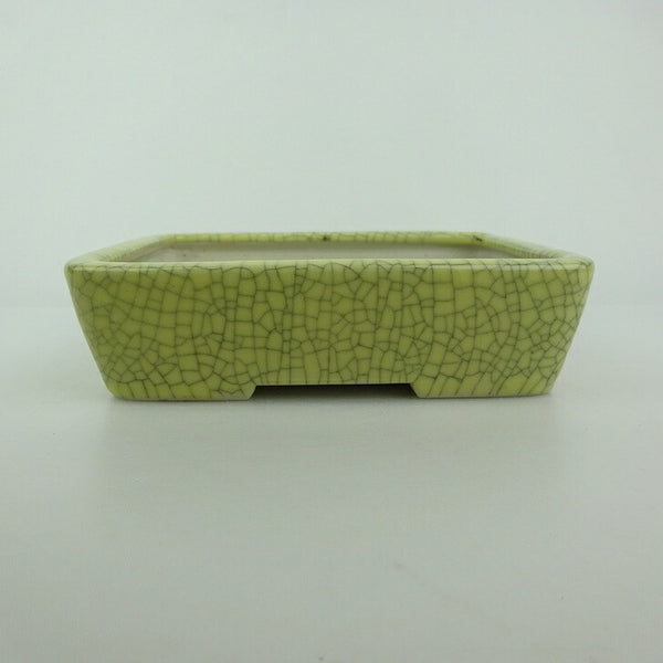 盆栽鉢 青香 小型 長辺 約14.3cm 長方鉢 貫入 釉薬 o1198429604